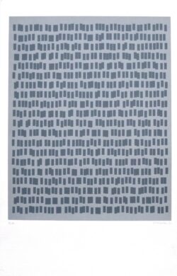 "800 rectangles à geometrie variable"