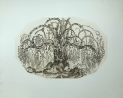 "Knorriger Baum"