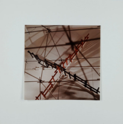 "Mattmark/Mortmark", Scrittura Struttura/Ambiente