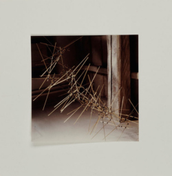 Struttura/Ambiente