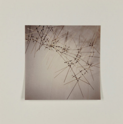 Struttura/Ambiente