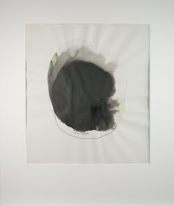 Schwarze Knospe
